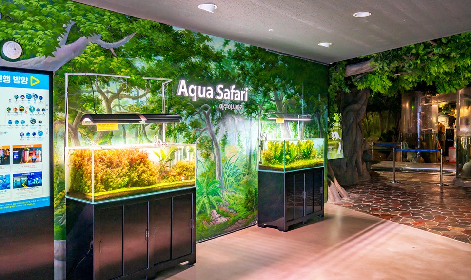 제주 동쪽 가볼만한곳 (아쿠아플라넷 제주)