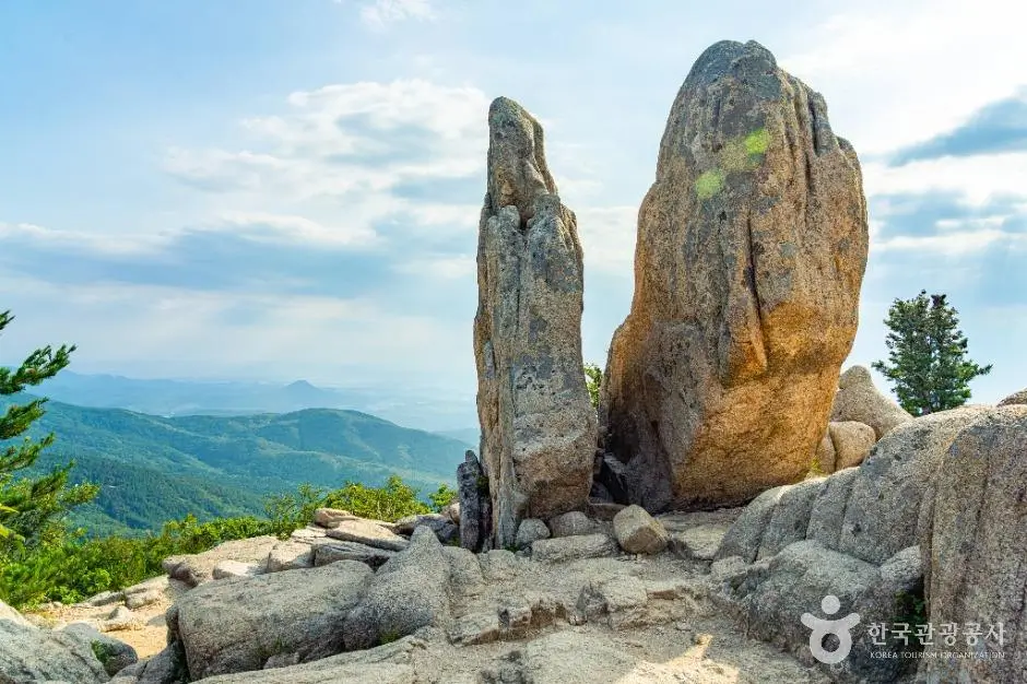 d3746d1f-28c3-46e1-a1e1-b073e1f6e944