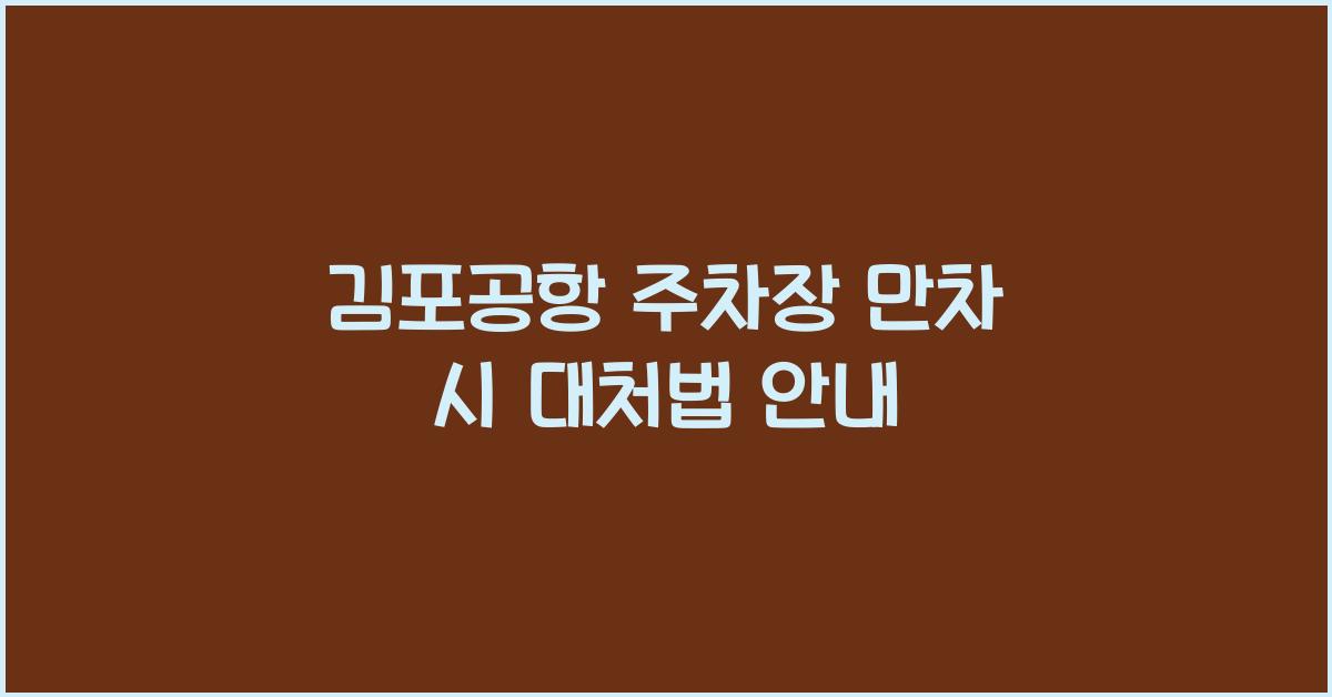 김포공항 주차장 만차