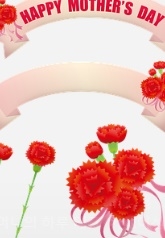 카네이션 꿈해몽 15가지