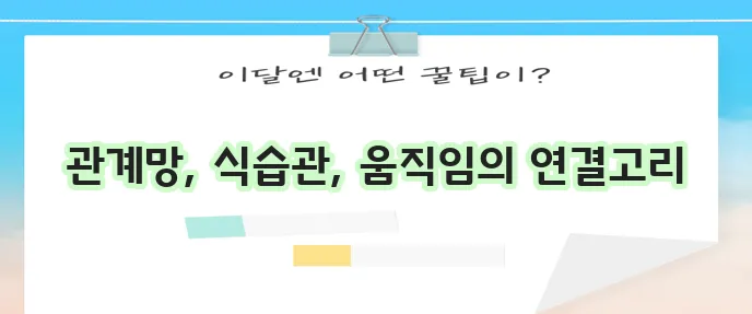 식단과 운동이 사회 생활에 미치는 영향