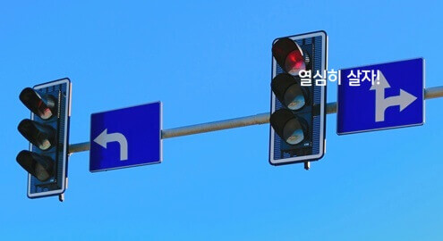 신호위반 교통사고