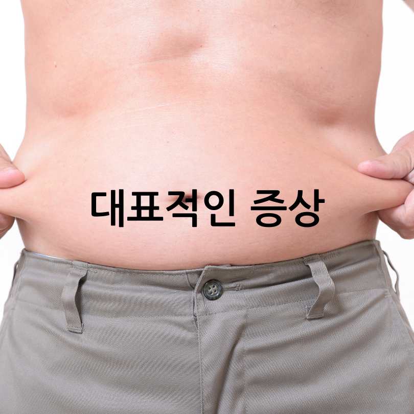 대사증후군 증상&amp;#44; 211 식단