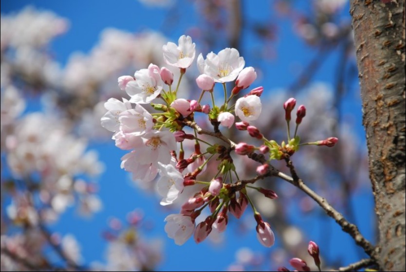 목요일-아침인사말