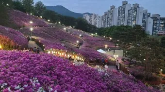 군포 가볼만한곳 베스트10 현지인 추천 필수코스_10