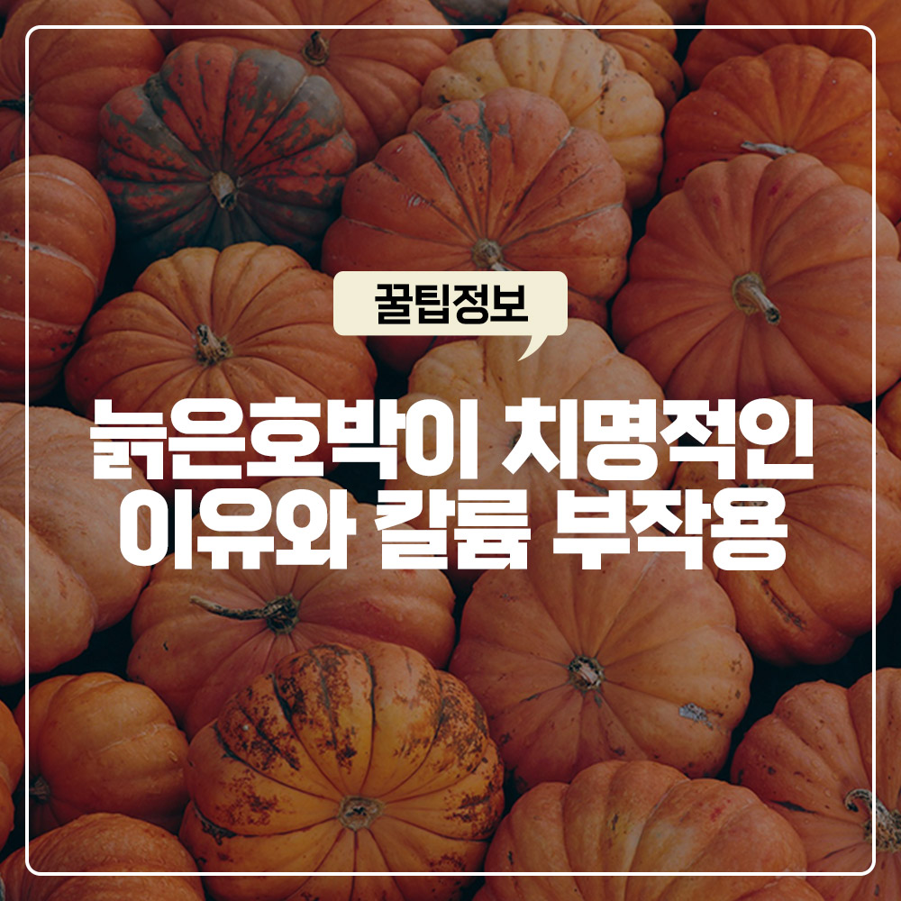 늙은호박 이뇨 작용 신장 질환자에게 치명적인 이유와 칼륨 부작용