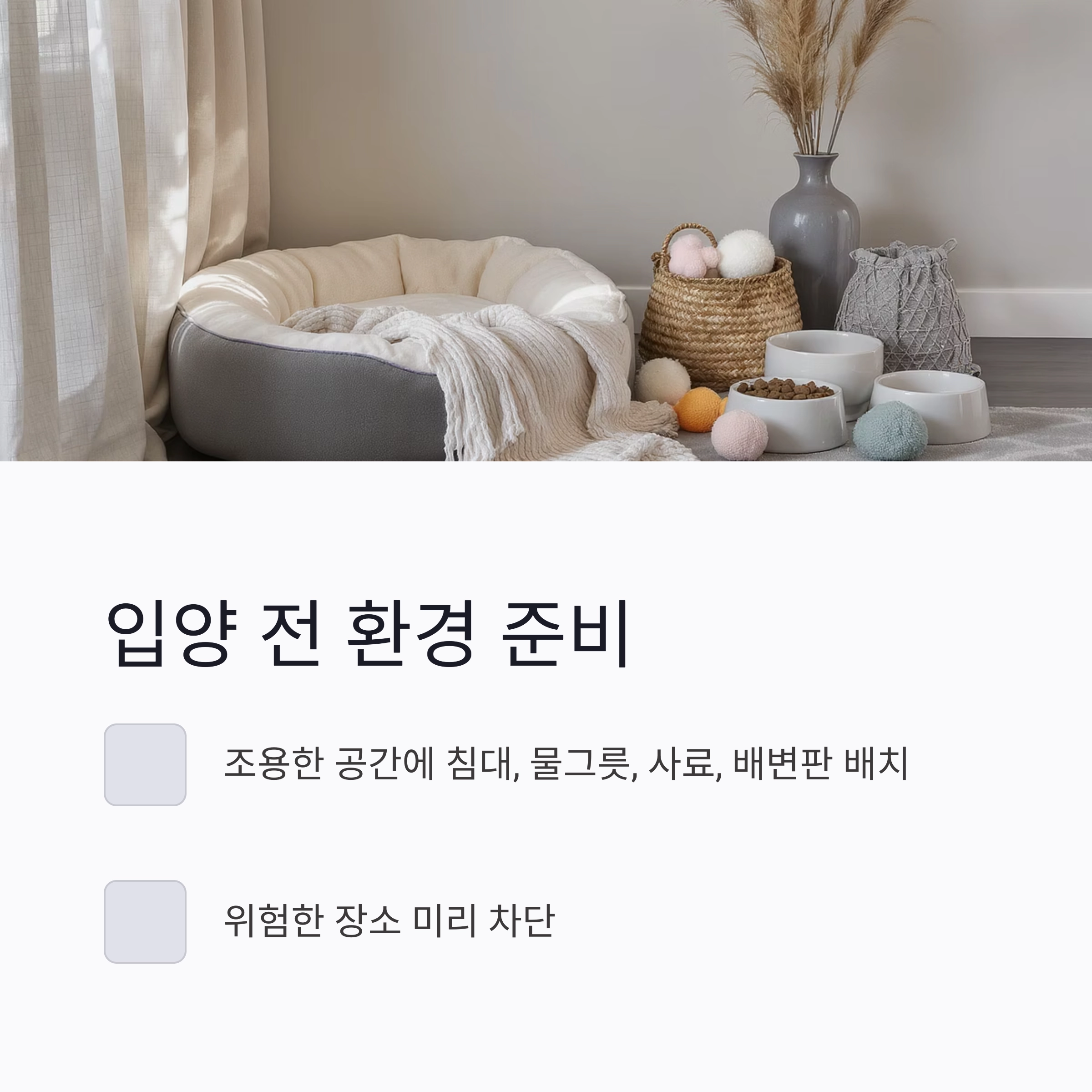 입양 후 첫 일주일, 반려동물과 친해지는 마법의 시간
