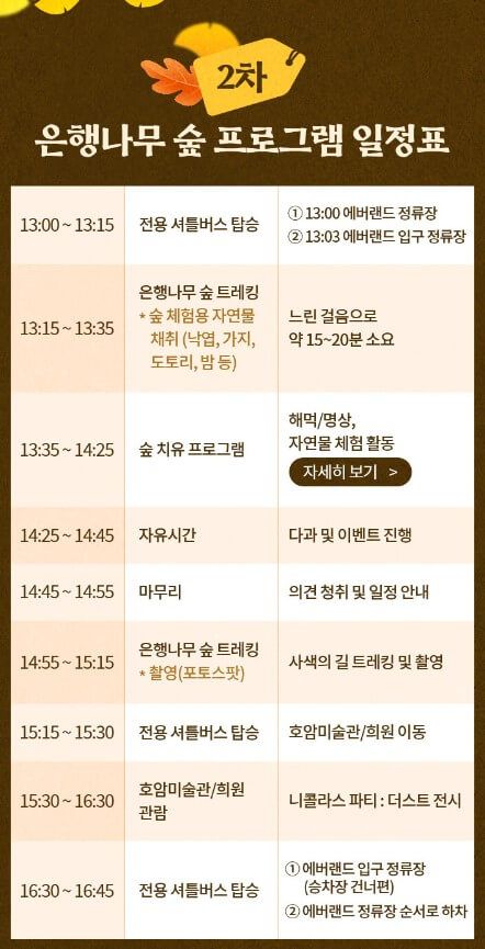 에버랜드 은행나무숲 예약,정보,일정