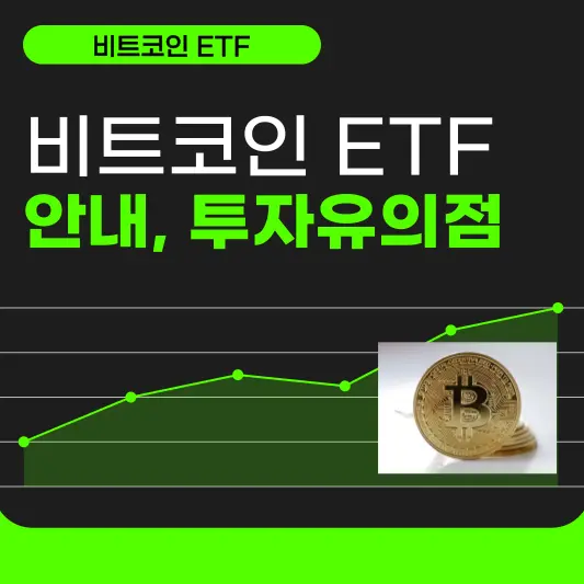 비트코인 ETF 소개, 투자유의점