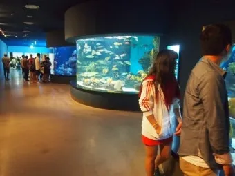 제주 아쿠아플라넷 입장료 할인정보 및 볼거리 소개_13