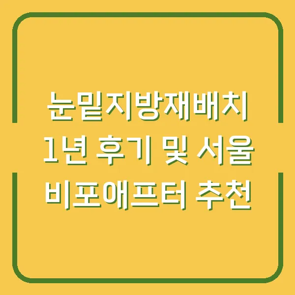 눈밑지방재배치 1년 후기 및 서울 비포애프터 추천