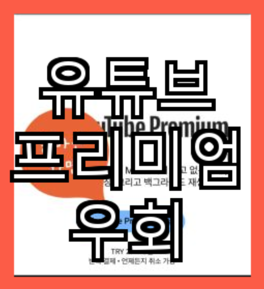 유튜브 프리미엄 우회 이미지