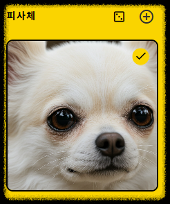 무료 구글 Whisk AI 사용법 ❘ 인스타 감성 실사 이미지 생성 혁명 (쇼츠 콘텐츠) 위스크AI 유튜브 쇼츠 인스타 릴스 동영상