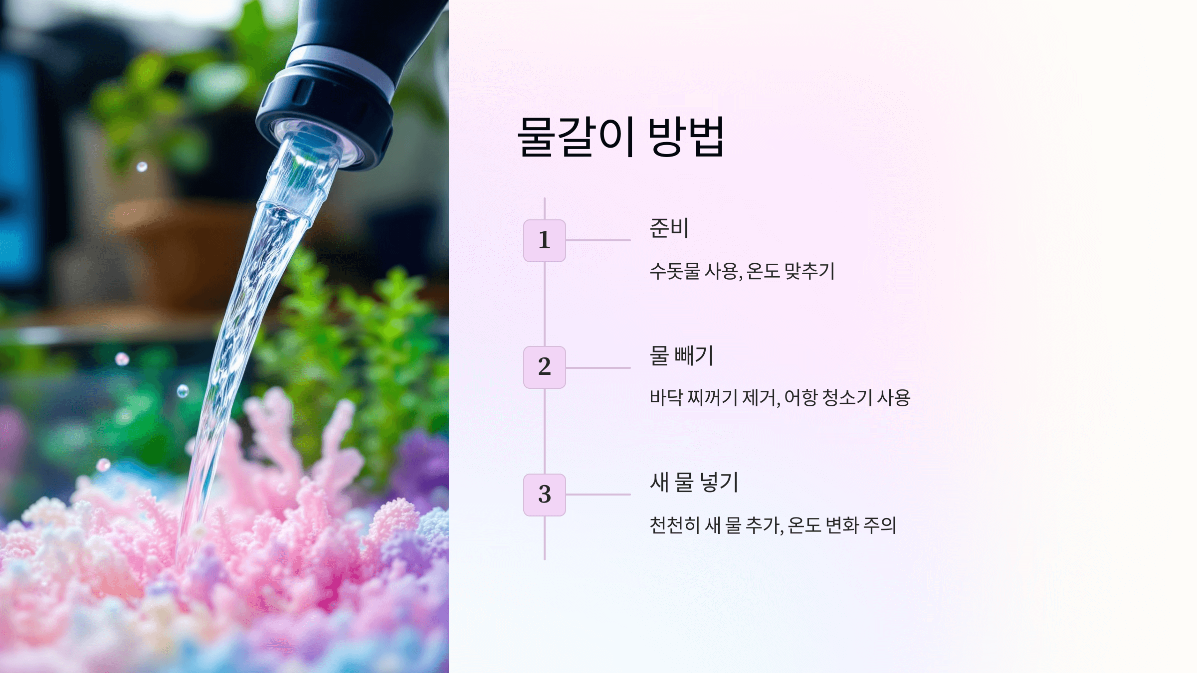 구피 사진입니다.