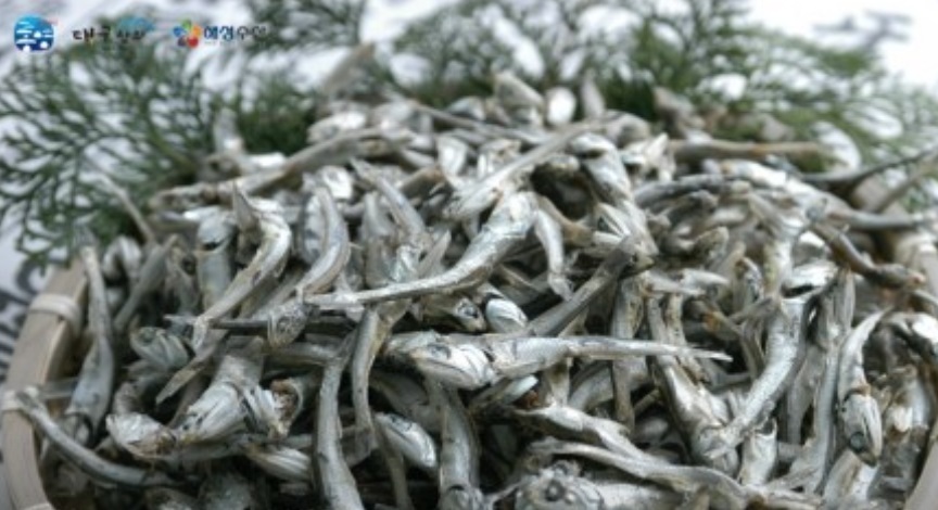 통영-멸치-6시내고향-해성씨푸드