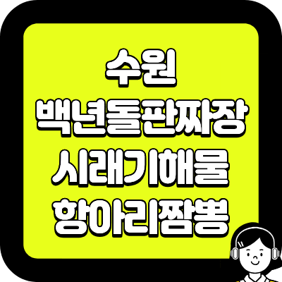수원 백년돌판짜장 시래기해물항아리짬뽕