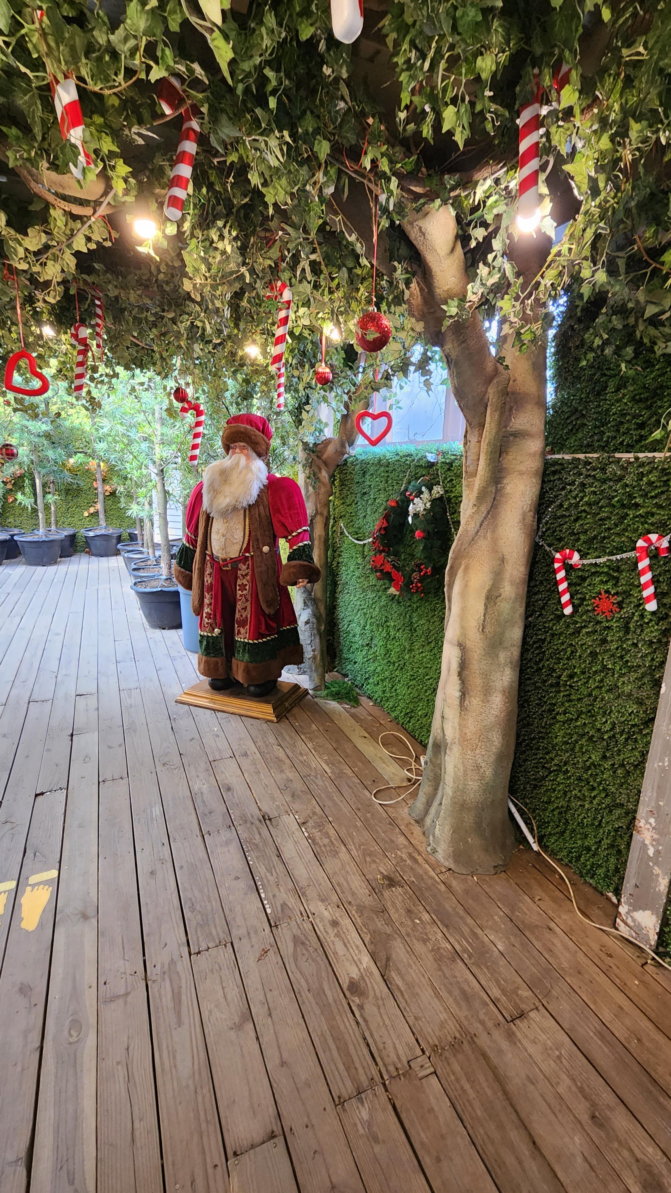 대구-네이처파크