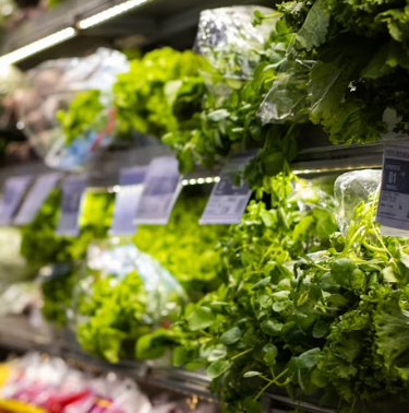 루꼴라 효능 부작용 영양성분 먹는법 고르는법 칼로리