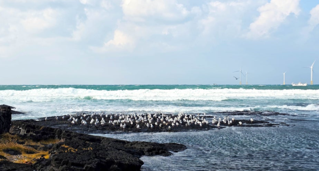 제주 협재해수욕장