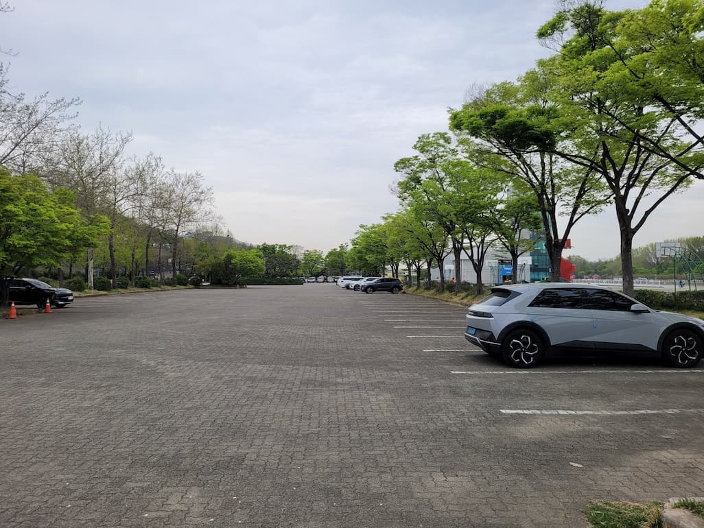 겹벚꽃 구간 인근 주차 차량 상황