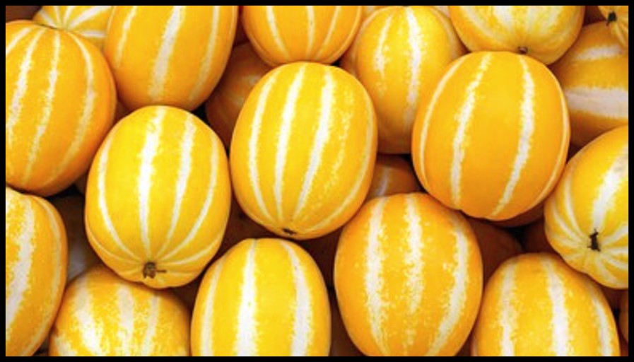 임신 극초기증상