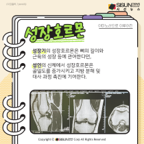 호르몬