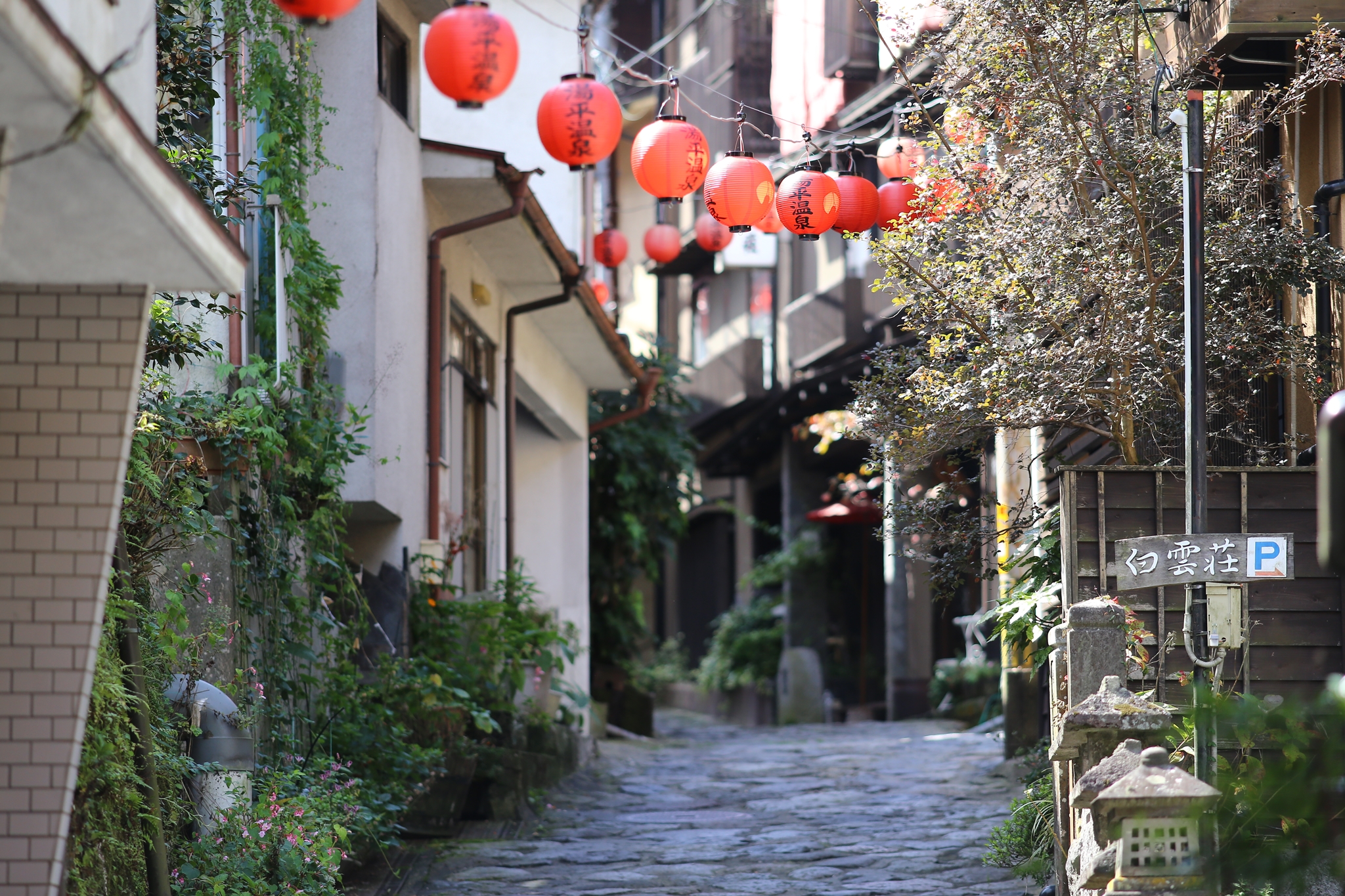 #후쿠오카온천 #일본온천 #규슈온천 #오이타온천 #구마모토온천 #와키타온천 #하라즈루온천 #기쿠치온천 #히라야마온천 #유후인온천 #우레시노온천 #벳푸온천 #유노히라온천 #아마가세온천 #온천료칸 #일본온천여행 #후쿠오카여행 #겨울온천