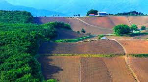 농지은행 농지 임대수탁 신청방법