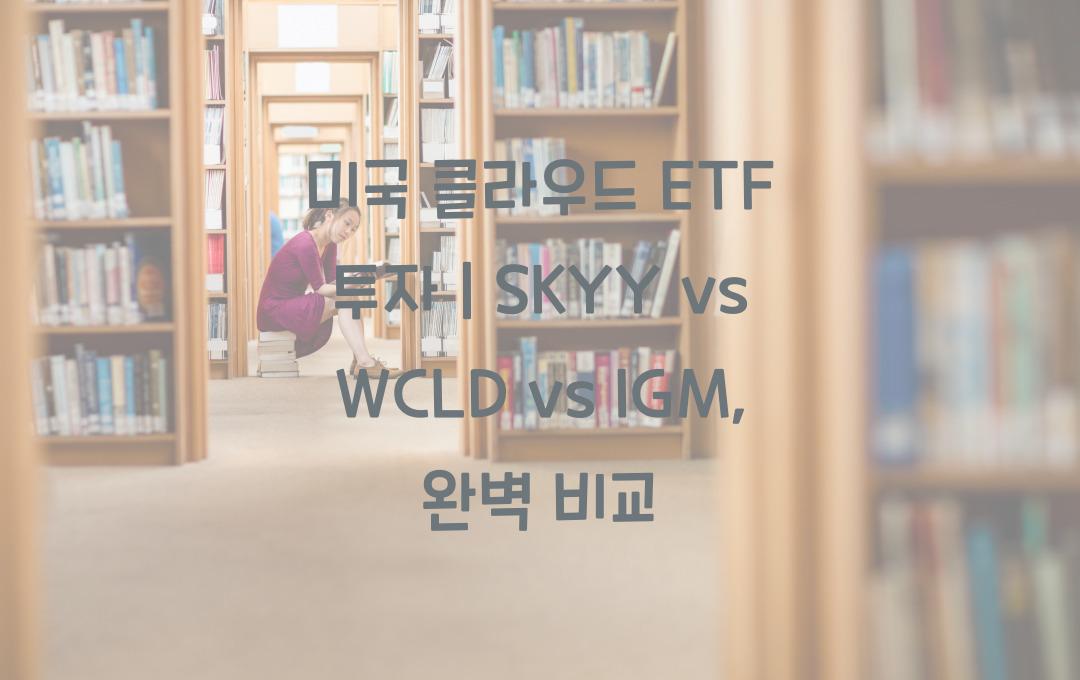미국 클라우드 ETF 투자, SKYY vs WCLD vs IGM 차이점은?