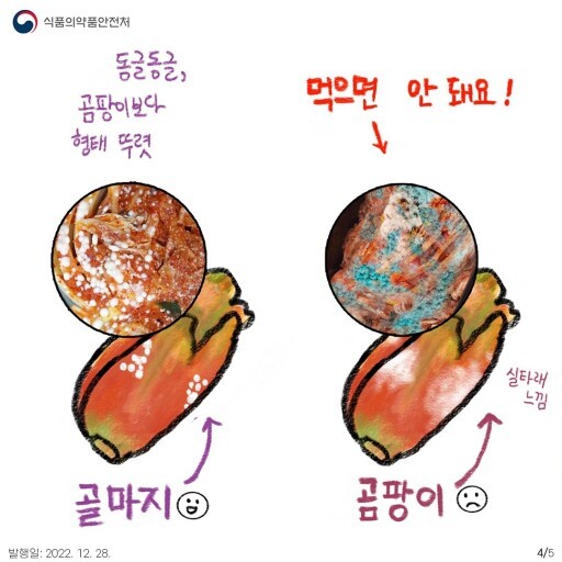 김치에 생기는 초록색, 파란색, 검은색 곰팡이의 위험성