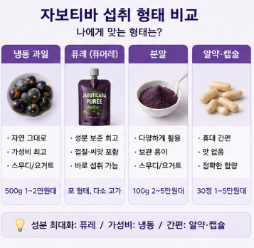 자보티바-효능-내돈내산-솔직-후기-복용방법-열매-부작용