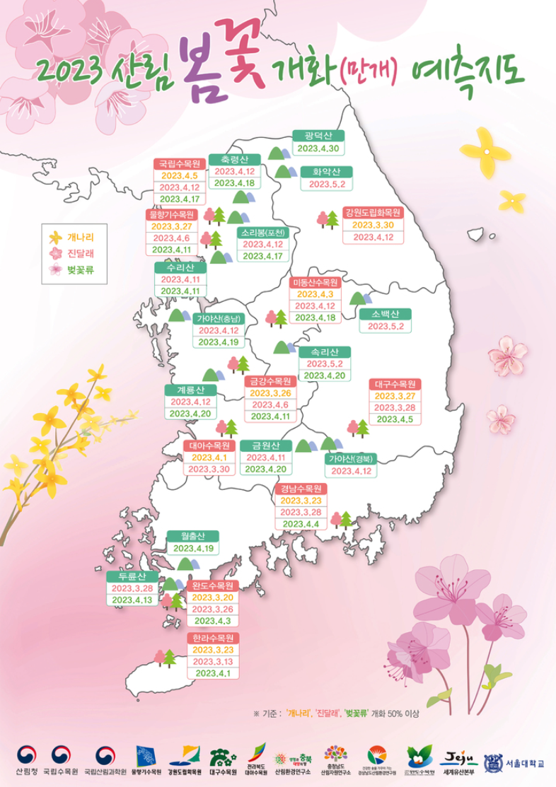 2023 꽃 개화 시기