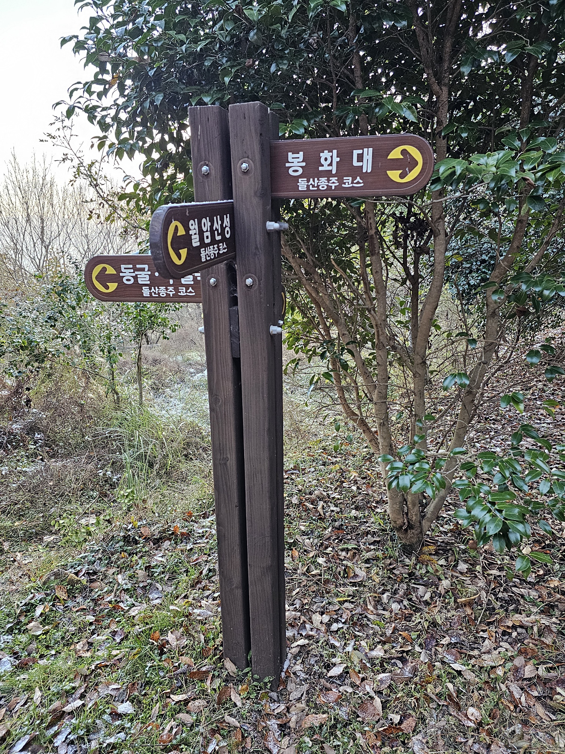 본산-> 봉화대 가는 길에서 나는 중도 포기를 했다.