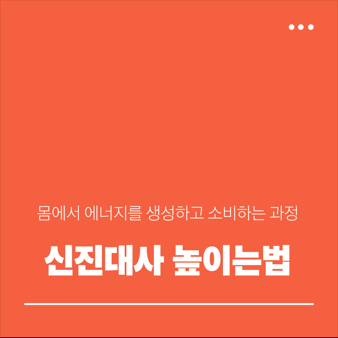 신진대사 높이는법 충분한 영양섭취가 필요해요
