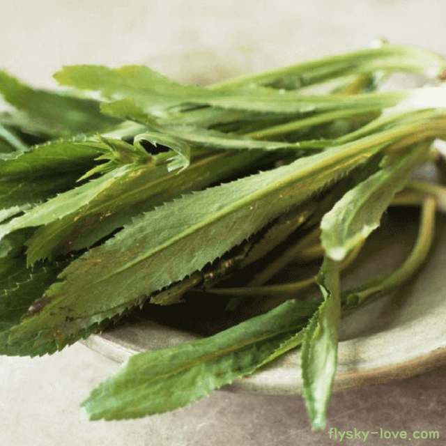 쿨란트로 (Culantro) 활용법