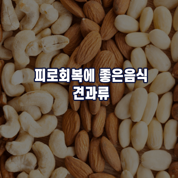 피로회복에 좋은음식 - 견과류