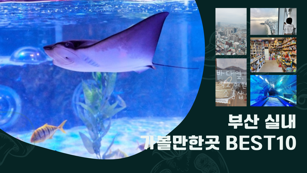 부산 실내 전시관 가볼만한곳 BEST 10