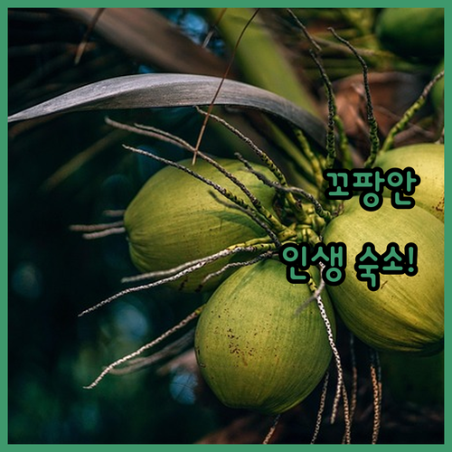 일몰 맛집부터 가성비 해변 숙소까지 ..