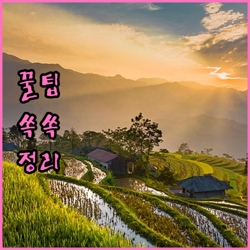 부산 강서구 미음동 대형폐기물 신고,..