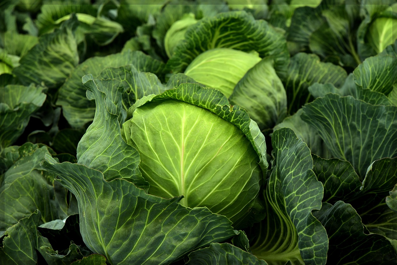 숙변 제거 방법