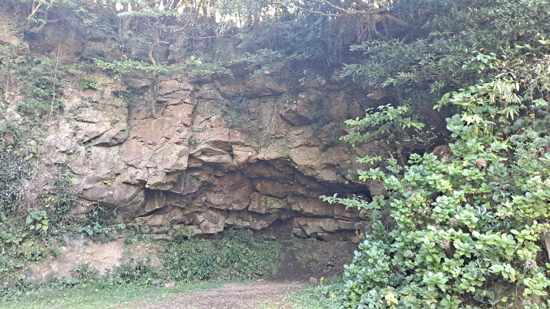 제주여행_성읍녹차마을