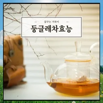 둥글레차 효과 건강에 좋은 차 효능 정리_13
