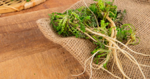 냉이-여러-뿌리