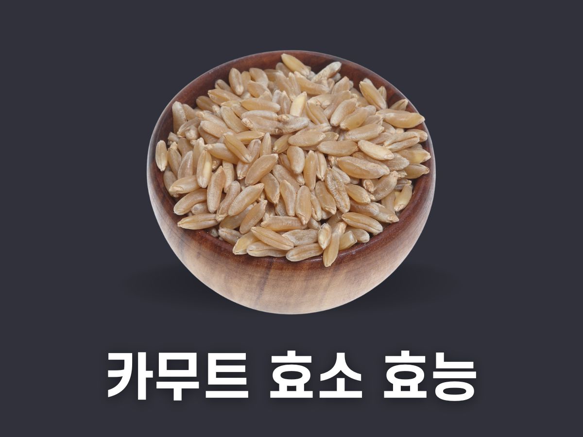 카무트 효소 효능