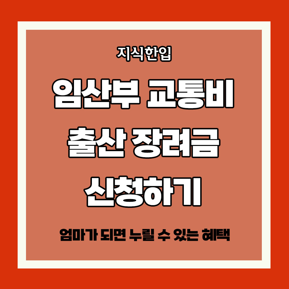 임산부 교통비 출산 장려금 혜택 신청 방법