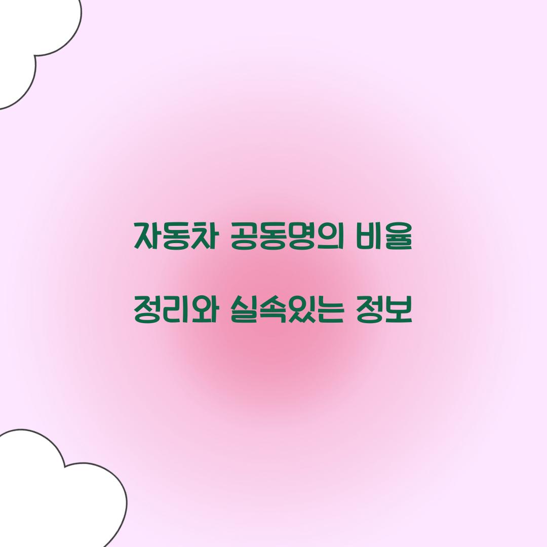 자동차 공동명의 비율