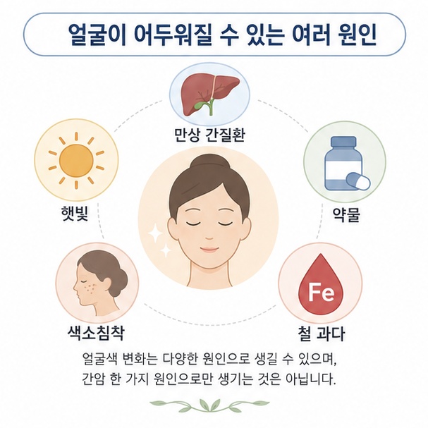 만성 간질환과 햇빛, 약물, 색소침착, 철 과다 등 피부가 어두워질 수 있는 여러 원인을 정리한 이미지