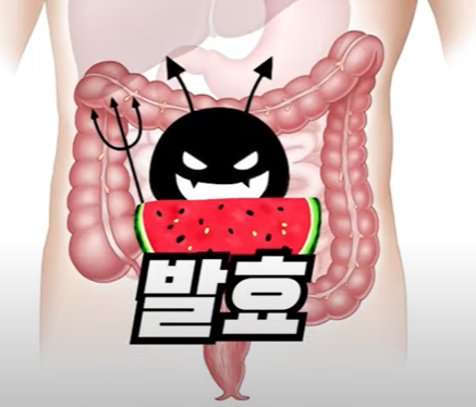 포드맵 음식을 먹고 발효되는 이미지
