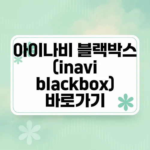 아이나비 블랙박스 (inavi blackbox) 바로가기