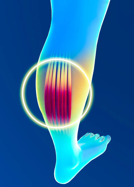 다리에 쥐나는 이유